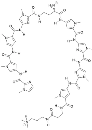 Figure 1.4 | Structure of an example hairpin pyrrole-imidizole polyamide.157