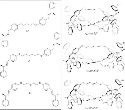 Figure 2.2 | Structure of L2-L4 synthesised with flexible aliphatic linkers and structures of the 