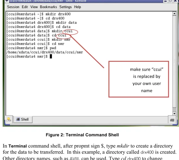 Figure 2: Terminal Command Shell 