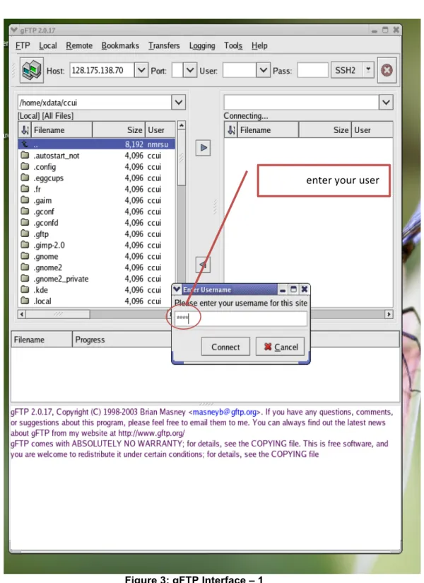 Figure 3: gFTP Interface – 1 