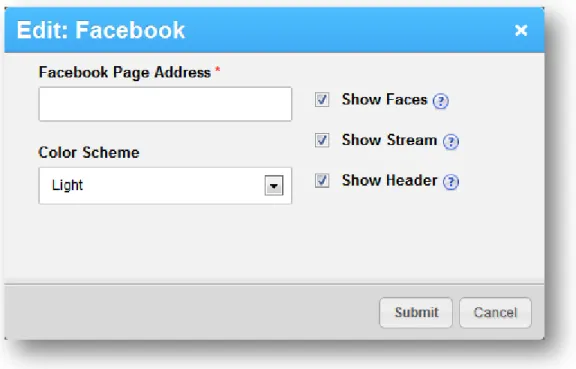 Figure 10 - Facebook Widget Editor 