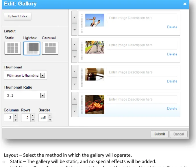 Figure 13 - Gallery Widget Editor 