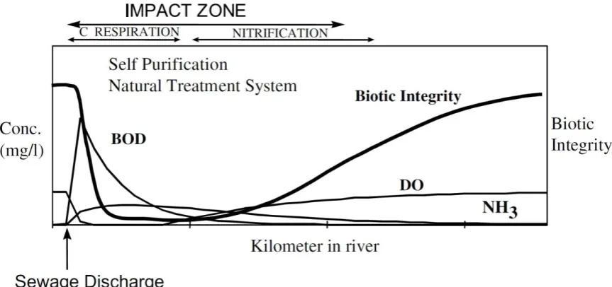 Figure 1.1: Relationship of impact zone caused by direct discharge of organic 