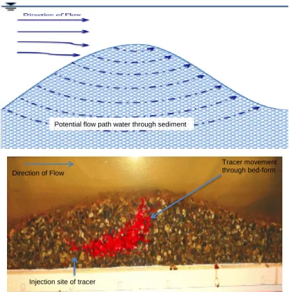 Figure 1.2: Schematic example of potential pumping movement through a bed-form compared against an enhanced experimental tracer photograph of a similar bed-form, illustrating the tracer movement through the bed via pumping (image taken from Dutton, 2004)