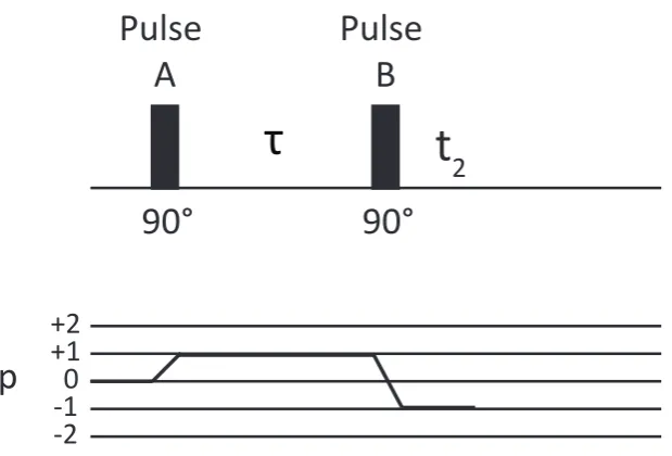 Figure 3.2: Top: Two pulse pulse sequence diagram (COSY) showing two 90◦separated by delay pulses τ