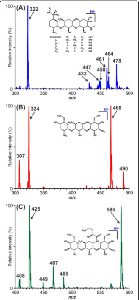 Fig. 1 Positive-ion MS1 electrospray-ionization spectra acquired froma sample of gentamicin (a), tobramycin (b), and amikacin (c) underlow-energy in-source fragmentation conditions (declusteringpotential 50 V)