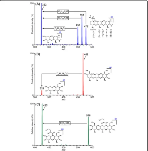 Fig. 2 Precursor-ion spectrum acquired for m/z 322 from a solution of gentamicin (a), and those for m/z 324 and 425 from solutions oftobramycin (b) and amikacin (c), respectively