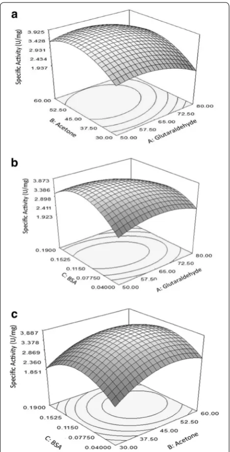 Fig. 2 Response surface plot as a function of CLEA-protease specific activity showing the interaction of a glutaraldehyde and acetone at constant BSA concentration of 0.12; b glutaraldehyde and BSA at constant acetone concentration of 45 % (v/v) c acetone and BSA, as constant glutaraldehyde concentration of 65 mM