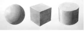 Figure 1.5: Structured-light-based 3D surface reconstruction (adapted from [10]).
