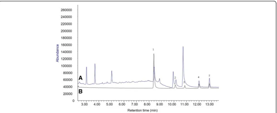 Fig. 4 Overlay chromatograms of the microbial medium sample spiked with SCFAs (50 μg/mL) prior to (A) and after (B) adopting SPE cleanup.Peak identities were as follows: (1) acetic acid, (2) propionic acid, (3) pivalic acid (IS), (4) butyric acid, (5) valeric acid