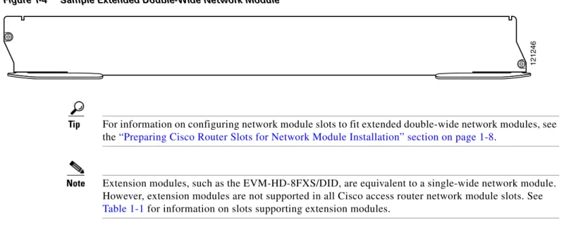Figure 1-4 Sample Extended Double-Wide Network Module