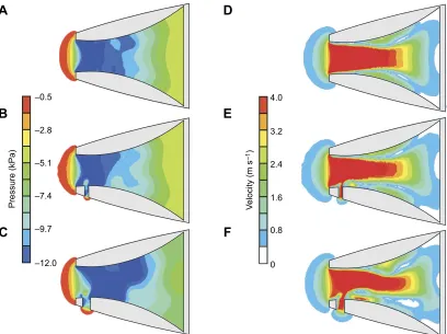 Fig. 7. Relative decrease in flow velocity in front of the mouthvaries with hole size as calculated by the CFD models