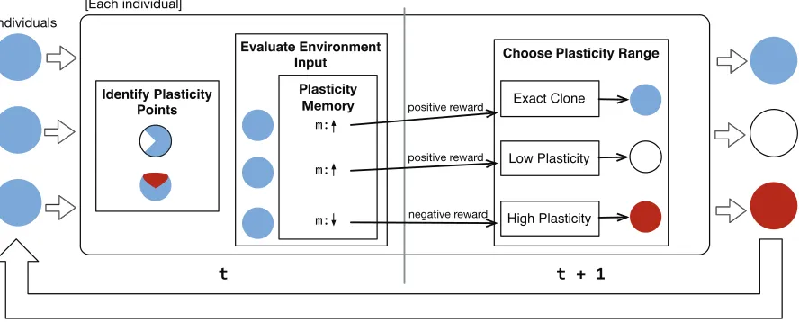Figure 1: Clonal plasticity process
