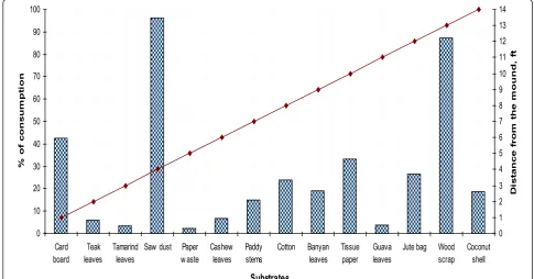 Figure 1 Average consumption of quadruplicate samples of the substrates by the termites.