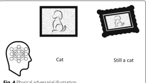 Fig. 4 Physical adversarial illustration