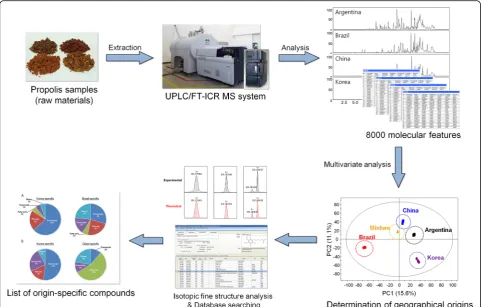 Fig. 1 Schematic workflow of UPLC/FT-ICR MS-based high-resolution analytical platform for determining the geographical origins of rawpropolis samples