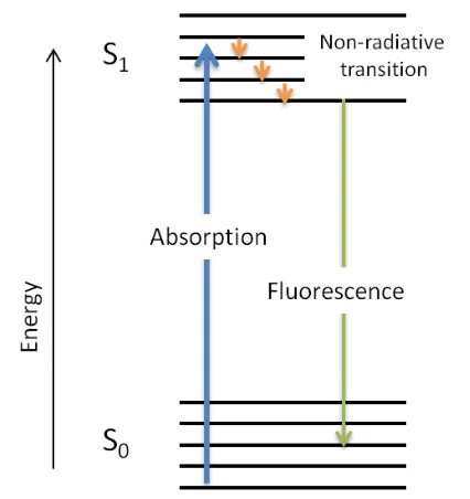 Figure 1.25. Jablonski diagram illustrating the process of fluorescence.  