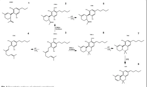 Fig. 1 Biosynthetic pathway of selected cannabinoids