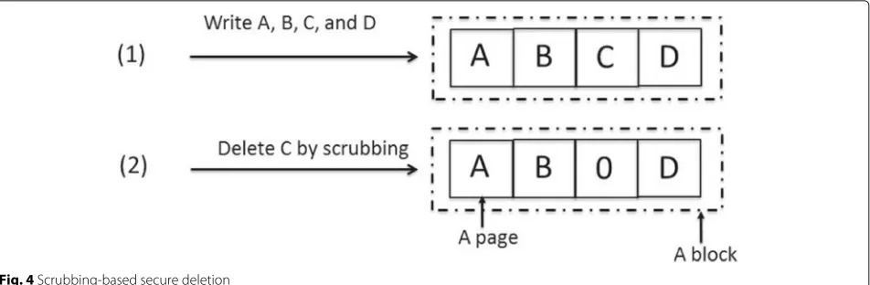 Fig. 4 Scrubbing-based secure deletion
