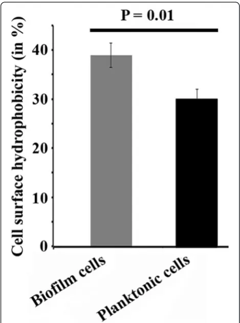 Figure 7 Functional diversity of AKS2 cells on LDPE and PES surface. Equal numbers (approximately 103 CFU) of biofilm-harvested cells ofAKS2, taken from both LDPE and PES surfaces, were aseptically separately added to each well of BiOLOG-ECO plate and incu