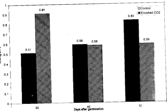 Fig. 1. Effect of eleYated C02 on specific leaf weight (SLW) :t: different growth stages 