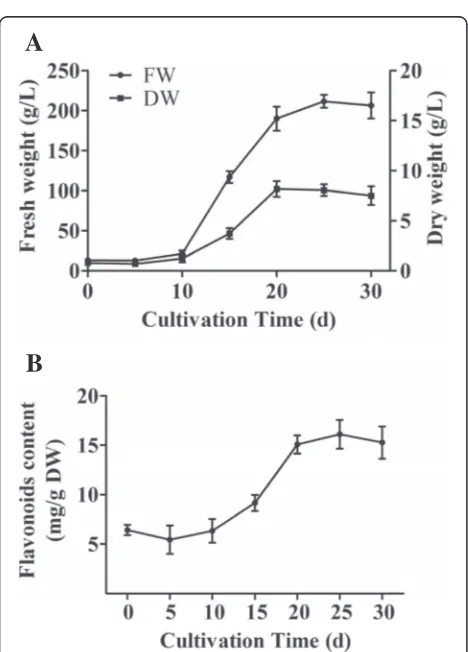 Figure 2 Determination of optimal culture time in H. perforatumcells. Kinetic profiles of cell growth (A) and content of flavonoids(B) in H