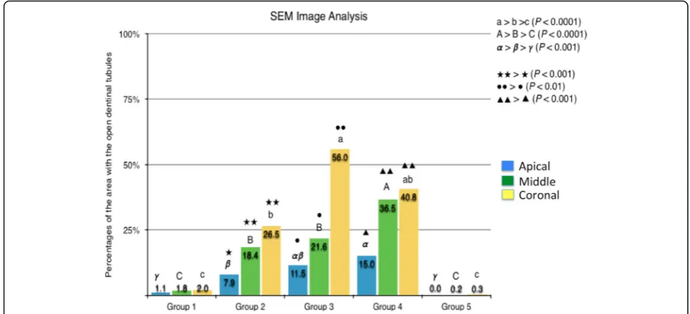 Fig. 2 The representative SEM micrographs in each group