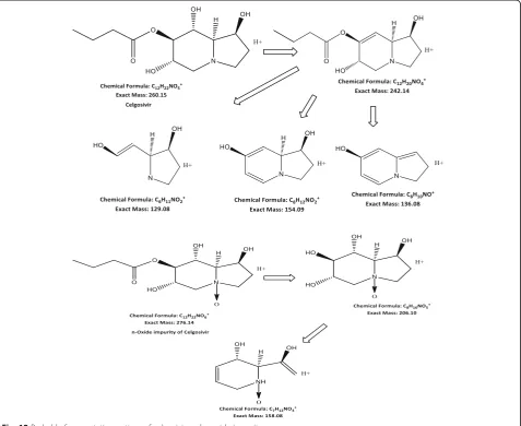 Fig. 12 Probable fragmentation pattern of celgosivir and n-oxide impurity