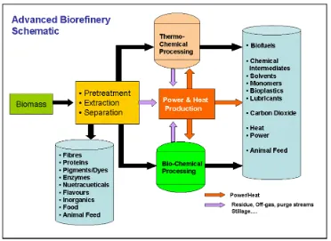 Figure 1-1. Schematic diagram of conversion of biomass into valuable products. 