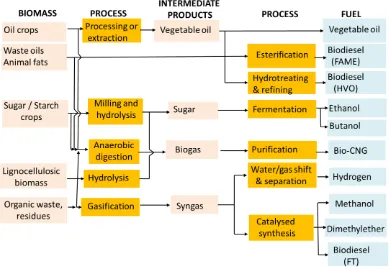 Figure 2-7. Scheme of production process of biofuels from biomass, adapted from 72. 