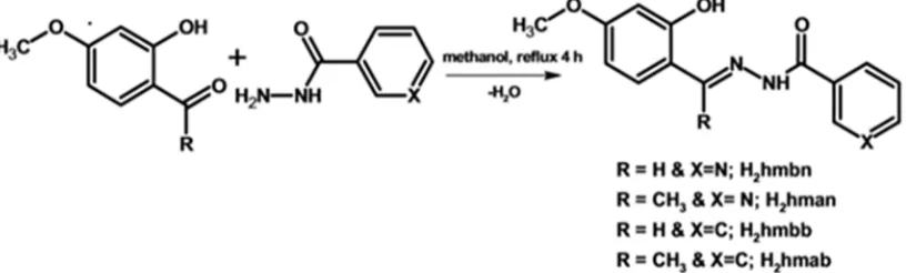 Figure 1. Schematic representation of the syntheses of acylhydrazones. 