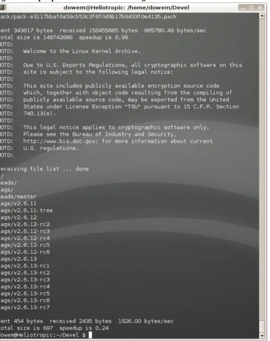 Figure 1. Output produced when downloading the kernel source tree