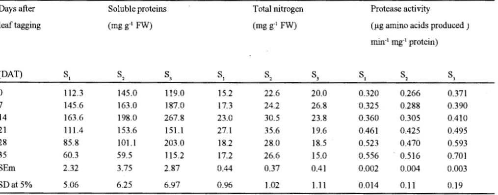 Table III. Changes in TSC, starch and reducing sugars during different stages of leaf development and senescence m p1geonpea 