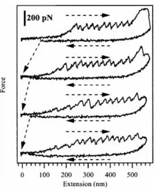 Figure 2.33: Four consecutive force spectra on a single molecule of the protein titin usinga small cantilever