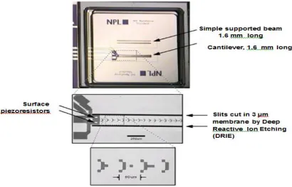 Figure 2.35:Optical micrographs of the cantilever microfabricated array of referencesprings (C-MARS)
