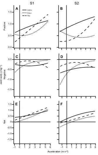 Fig. 7. The lines of best fit for positive, negativeand net joint work versus acceleration for theankle, knee and hip