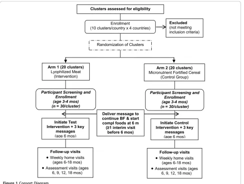 Figure 1 Consort Diagram.