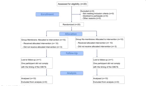 Fig. 5 CONSORT 2010 flow diagram