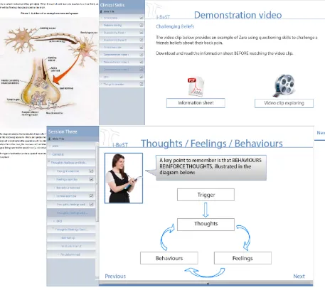 Figure 8. Screenshots showing examples of expanded content