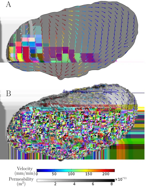 Figure 8: Comparison of constant permeability, A, and image based permeability, B, models showing flow velocity in colour of arrows which indicate the direction of the flow overlaid on the permeability of the plane.