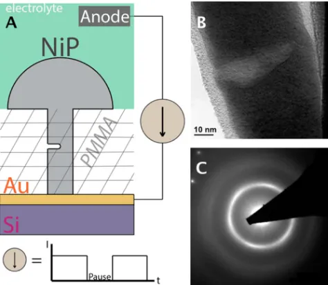 Figure 4.1: Fabrication and characterization of notched nanowires. (A) Schematicof templated electroplating of notched Ni-P nanocylinders using a ‘paused’ elec-troplating method