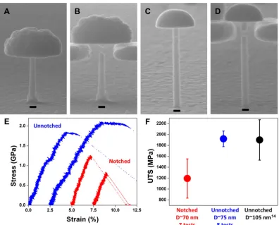 Figure 4.2: In-situ tensile tests on notched nanowires. SEM images of an unnotchedNi-P nanocylinder (A) before and (B) after tensile testing and a notched Ni-Pnanocylinder (C) before and (D) after tensile testing