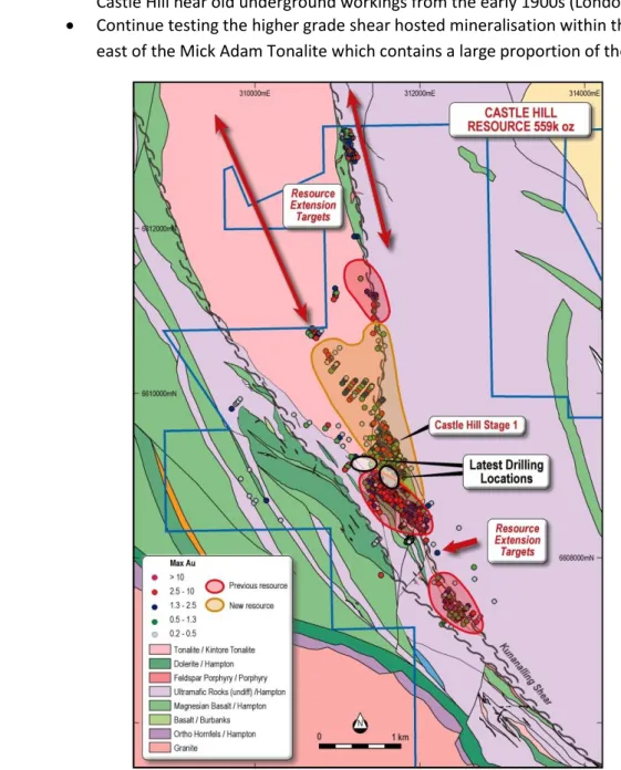Figure 2. Drilling locations and Resource extension targets at Castle Hill