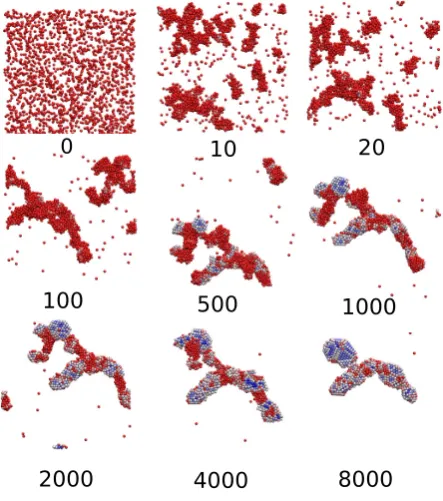 Figure 3.6: The time evolution of a system where collective motion is allowed leadsto the rapid formation of amorphous droplets, which coalesce into a disorderedaggregate.Crystals within this aggregate develop later and are separated by adisordered (liquid) surface.