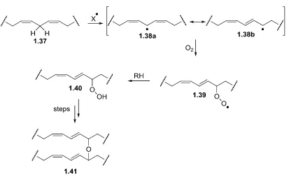 Figure 1.15: Autoxidation in drying oils.62 