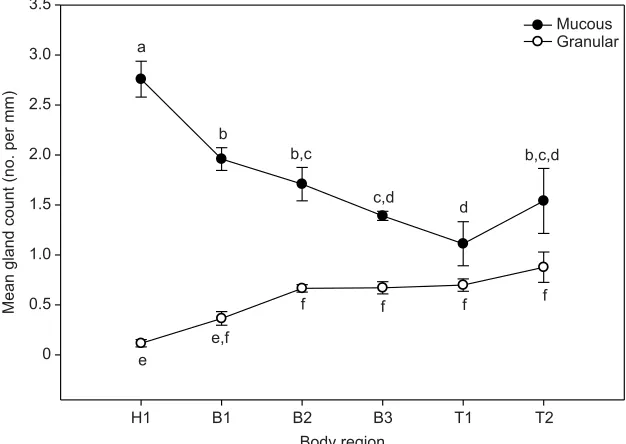 Fig. 4. Representative micrographs of histological sections of A. tridactylummucous and granular gland types