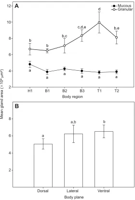 Fig. 6. Mean (±s.e.m.) gland area of mucous and granular glandsof A. tridactylum. (A) Area across body regions and (B) combinedarea of mucous and granular glands per body plane