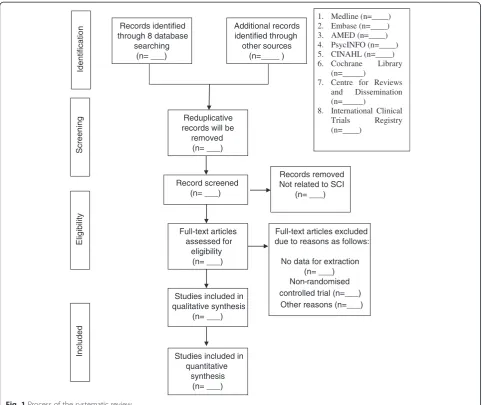 Fig. 1 Process of the systematic review
