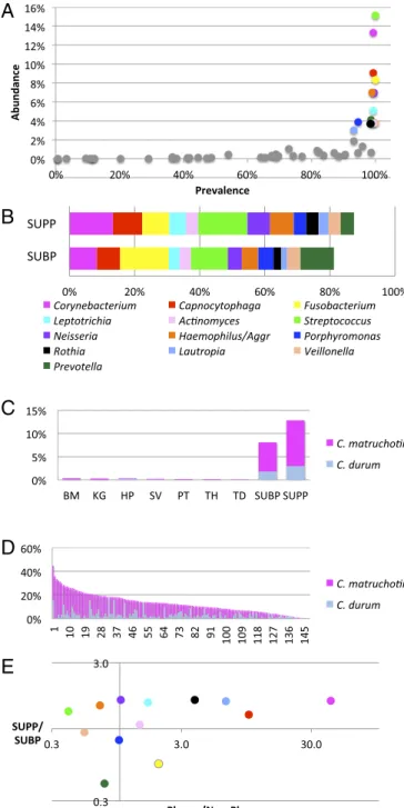 Fig. 1. Metagenomic sequence analysis points to Corynebacterium as a key taxon in supragingival plaque