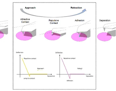 Figure 2.1 Schematic diagram of the vertical tip movement during the approach and 